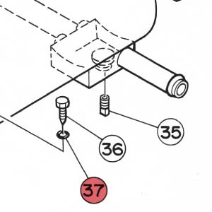 37) O-Ring